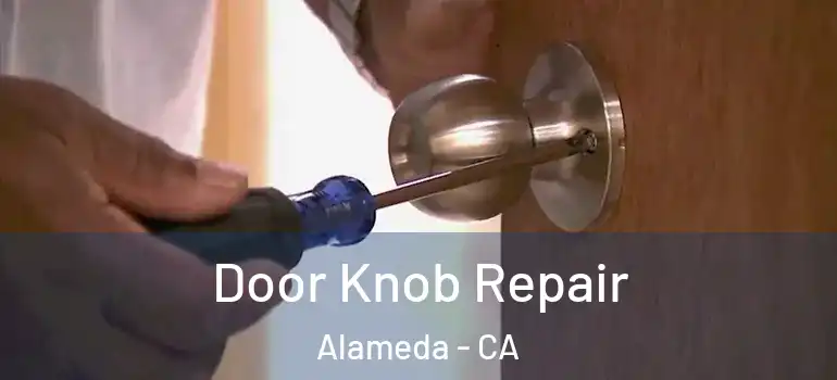  Door Knob Repair Alameda - CA