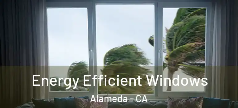  Energy Efficient Windows Alameda - CA
