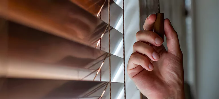 Double Roller Blinds in Alameda, CA
