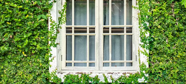 Garden Window Repair Near Me in Alameda, CA