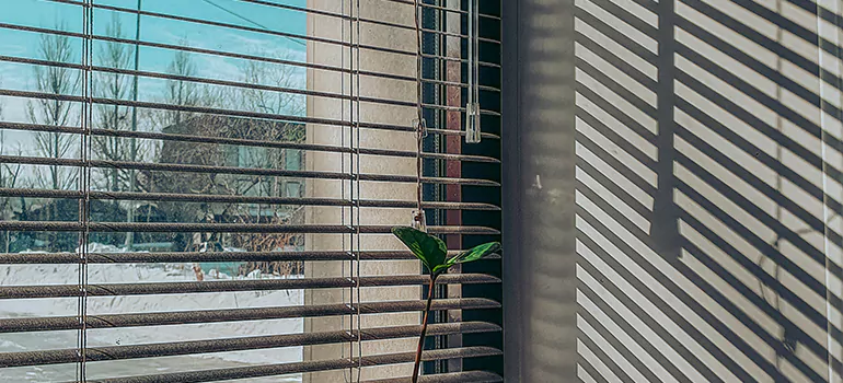 Commercial Window Blinds in Alameda, CA