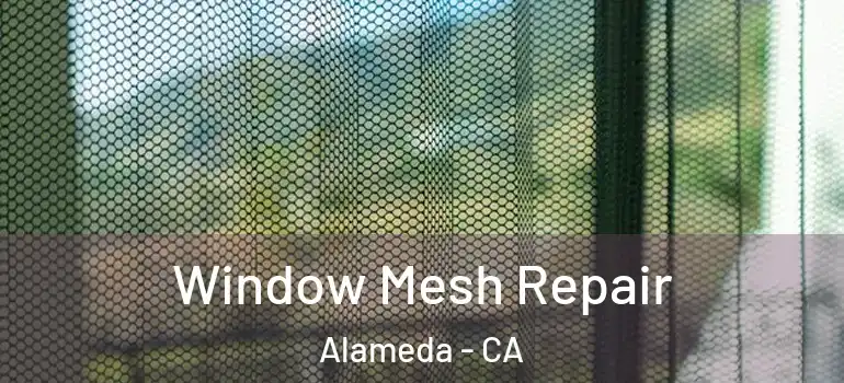  Window Mesh Repair Alameda - CA