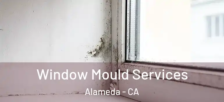  Window Mould Services Alameda - CA