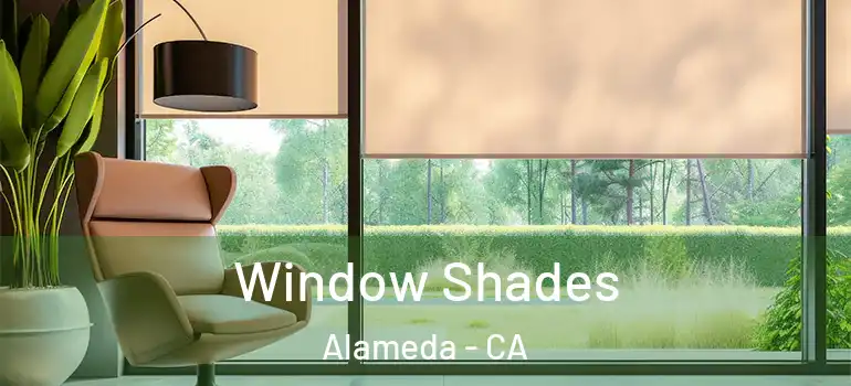  Window Shades Alameda - CA