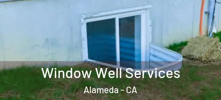  Window Well Services Alameda - CA